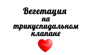 Большая вегетация на трикуспидальном клапане у наркомана на УЗИ сердца