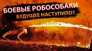 Боевые робособаки–будущее наступило?