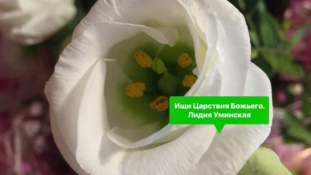 Ищи Царствия Божьего. Христианский стих. Читает Лидия Уминская