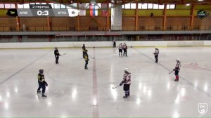 Arena Play Юг vs Stolyarov Teams