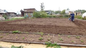 Мотоблок нева мини 100.вспашка плугом.