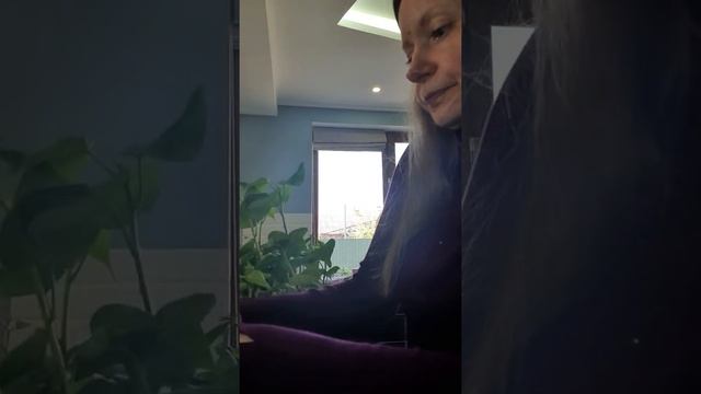 Черенкование рассады батата, рассада батата, подготовка рассады батата для высадки в открытый грунт смотреть онлайн