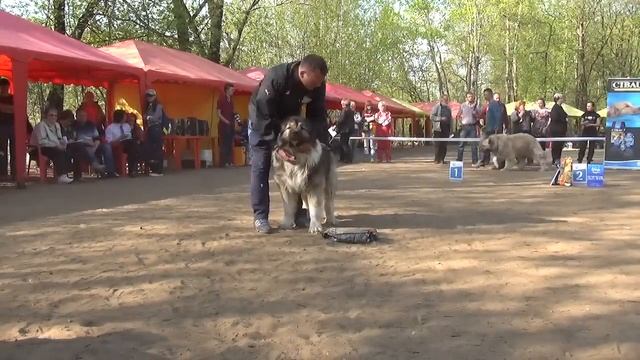 Просторы Дона Угрюм MAH00441 смотреть онлайн