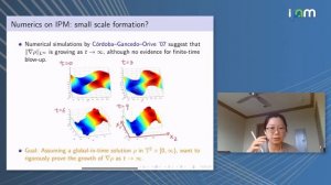 Yao Yao: "Small scale formations in the incompressible porous media equation"