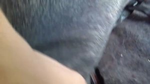 Как снять задние сидение ваз классика