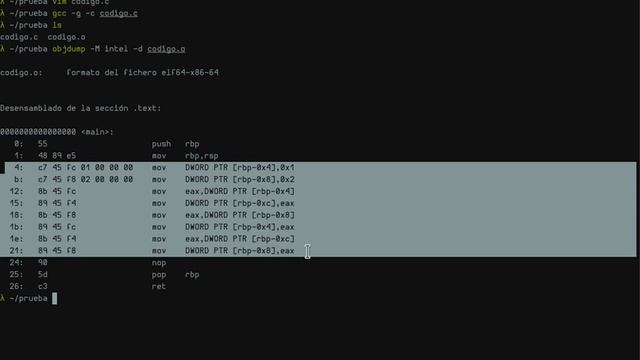 Decompilar Codigo C a ASM Intel смотреть онлайн