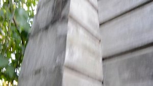 СГНИЛ ДОМ ИЗ КЛЕЕНОГО БРУСА. Ищем причину