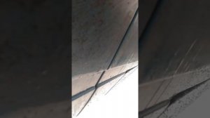Скрип в переднем левом колесе.