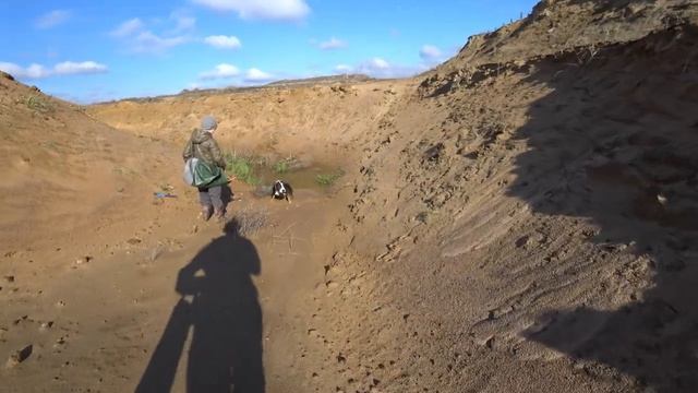 Болото засосало собаку смотреть онлайн