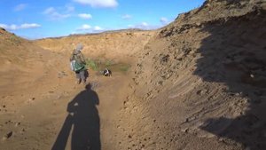 Болото засосало собаку