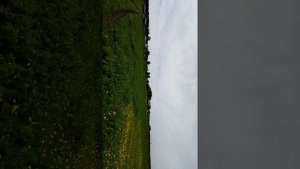 село сепыч пермский край
