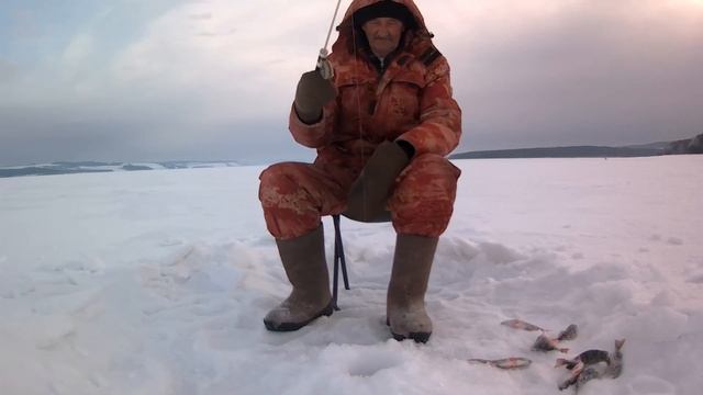 Испытание приманки под личинку короеда смотреть онлайн