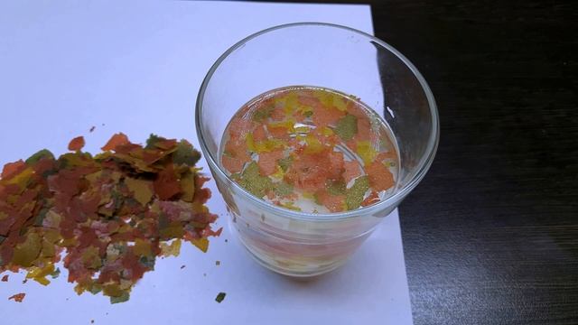 КОРМ ПАТРУЛЬ | SERA VIPAN смотреть онлайн