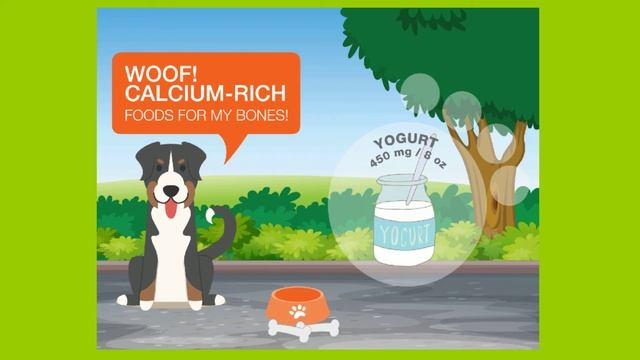 5 Sources of Calcium for Dogs смотреть онлайн