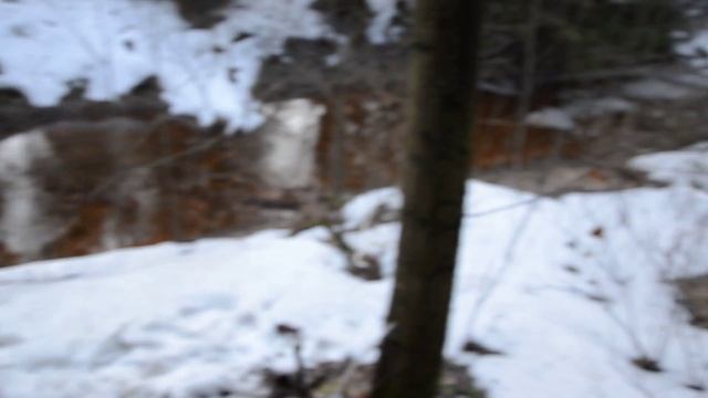 сезон сбора кленового сока смотреть онлайн