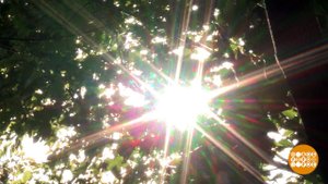 Август. Солнце. Такое ласковое... Доброе утро. Фрагмент выпуска от 10.08.2020