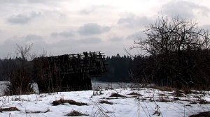 ВОЛК ОДИНОЧКА