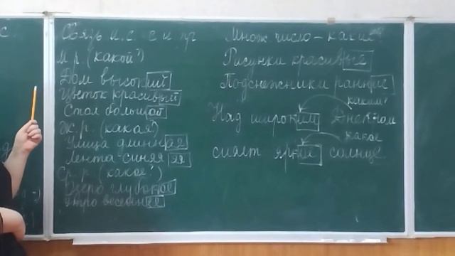 Изменение имен существительных по вопросам.Связь имен существительных с именами прилагательными