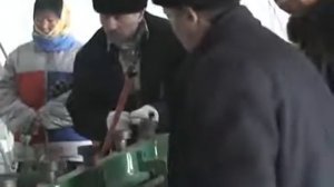 Станок для плетения сеток Манье