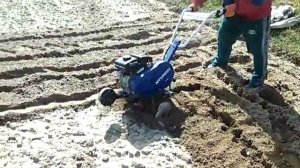 Hyundai T500 - культивация огорода (cultivating the garden).