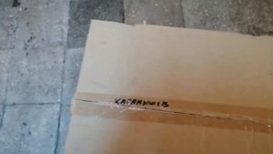 Мотопомпа CARVER CGP 3050