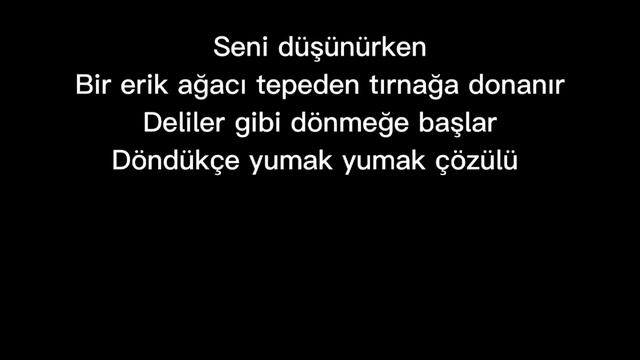 BEDRİ RAHMİ EYÜPOĞLU ÇAKIL ŞİİRİ KARAOKE смотреть онлайн