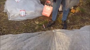 Как закрепить укрывной материал на зиму для клубники.   Волкова Елена