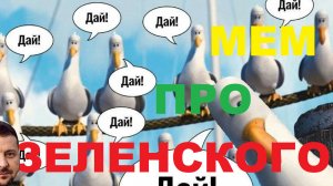 «Дай, дай, дай…» В Польше придумали мем про Зеленского