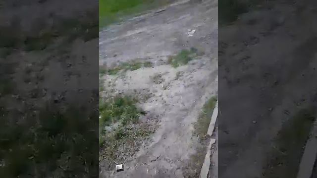 ВЫЗЫВАЕМ ЧАРЛИ-ЧАРЛИ НА УЛИЦЕ смотреть онлайн