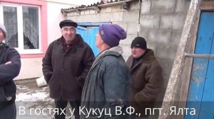 Ялта гонит голубей, - николаевские голуби Кукуц В.Ф.