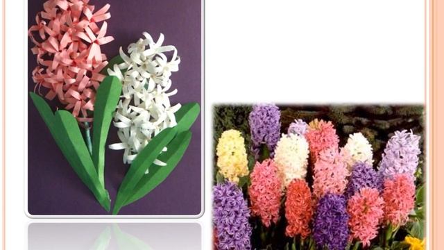 "Обучение детей старшего дошкольного возраста объемной аппликации из полосок бумаги" смотреть онлайн