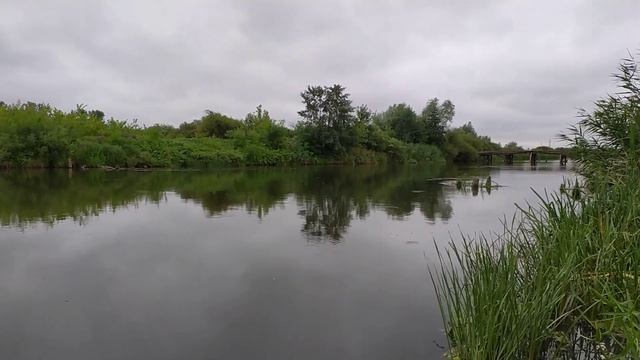 Река Хопер под г. Борисоглебском (Воронежская область) смотреть онлайн