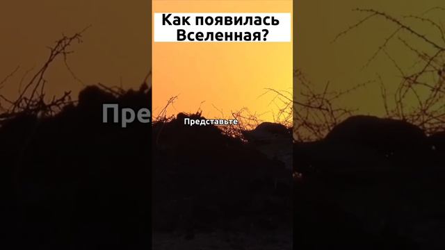 Откуда появилась наша Вселенная? #знания #космос #наука #шортс