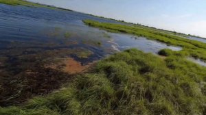 Ханка в конце июня_25-27-06-2021