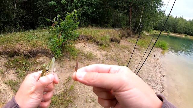 Отводной поводок / рабочая проводка/ Есино