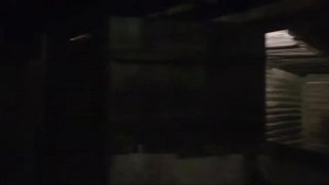 Денник Для Лошади. Какой Он?