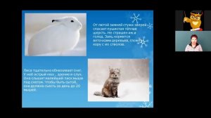 Окружающий мир 2 класс 16-17 недели. В гости к зиме