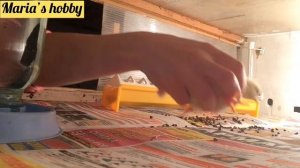 Цыплята бройлеры, первый день жизни. Чем поить, как кормить цыплят?