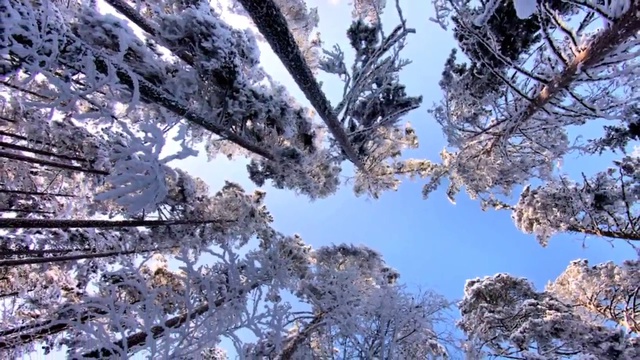 ОТ МЕНЯ...ДО ТЕБЯ смотреть онлайн