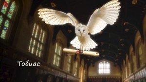 [АУДИОКНИГА | ФАНФИК ПО СЕРИИ КНИГ О ГАРРИ ПОТТЕРЕ] Shellina - Игрок | Книга 2. Тобиас. Часть 1/2