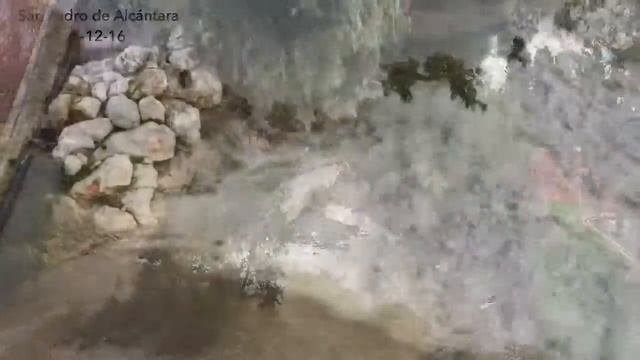 San Pedro de Alcántara, después de la tormenta смотреть онлайн