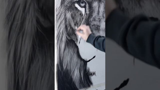 Huge Realistic Lion Drawing in Charcoal