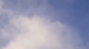 Кировоградские голуби в Каховке