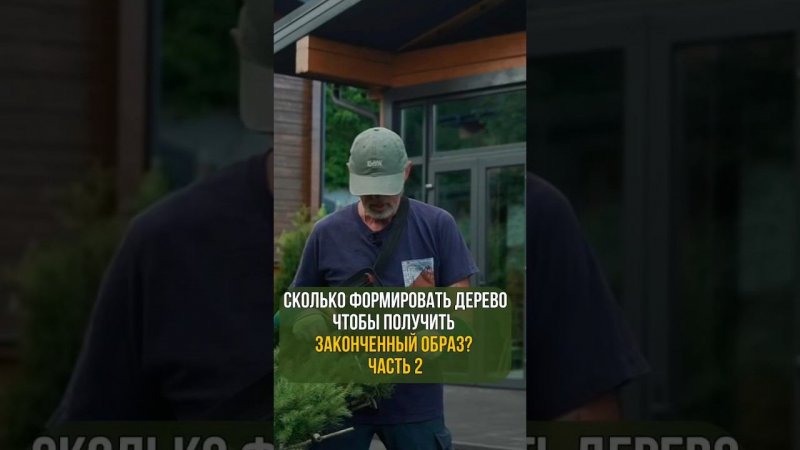 Сколько формировать дерево, чтобы получить законченный образ. Часть 2