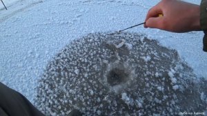 РЫБАЛКА НА ЗАБЕРЕГАХ РЕКИ ЧУЛЫМ! зимняя рыбалка! первый лед на реке Чулым!