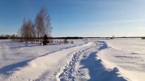 Задубенье, реалии Брянской глубинки!((