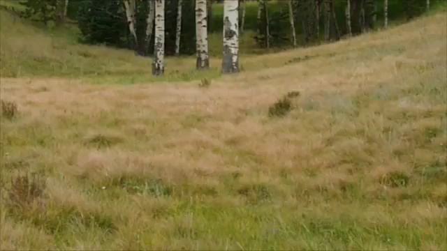 Reset (Introduction) - Undo Multiple Commits смотреть онлайн