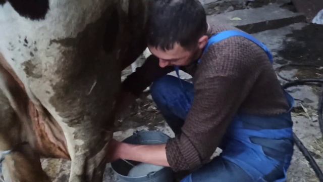 нам отключили свет! сколько корова даёт молока ? ох не ходил устала рука ? смотреть онлайн