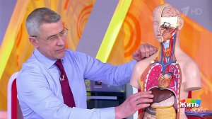 Жить здорово! Выпуск от 07.05.2018