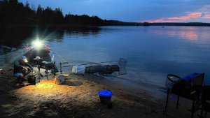 НОЧНАЯ РЫБАЛКА В ДОЖДЬ И ГРОЗУ.